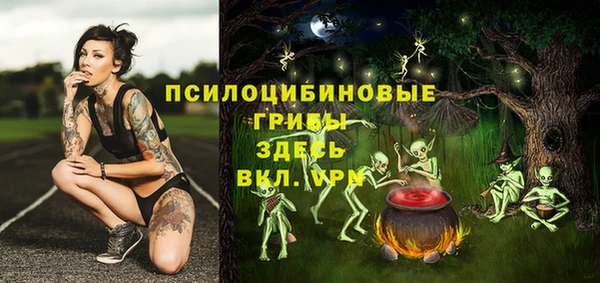 мдпв Касимов
